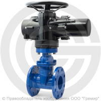 Задвижка чугунная фланцевая Ду-50 Ру-16 (Т<120°С) 30ч939р Китай с электроприводом Benarmo-А.70/24 (380 В) Задвижка чугунная фланцевая Ду-50 Ру-16 (Т<120°С) 30ч939р Китай с электроприводом Benarmo-А.70/24 (380 В)