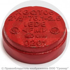Заглушка под муфту грувлок Ду-200 (Дн 219) Ру-25 XGQT16