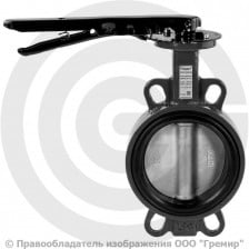 Затвор дисковый поворотный межфланцевый Ду-40 Ру-16 EPDM с чугунным диском Ридан ЗДМ 03