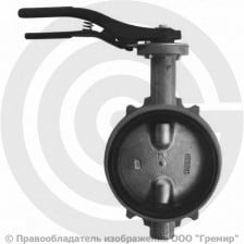 Затвор дисковый поворотный межфланцевый Ду-150 Ру-16 с чугунным диском Giacomini R59W