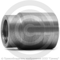 Бобышка стальная для термометра вварная G1/2 L=40мм ВР (ВН) БТБ4 Завод Теплотехнических Приборов Бобышка стальная для термометра вварная G1/2 L=40мм ВР (ВН) БТБ4 Завод Теплотехнических Приборов