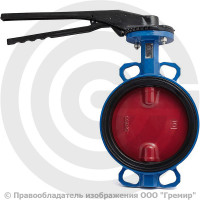Затвор дисковый поворотный межфланцевый Ду-200 Ру-16 EPDM с чугунным диском Tecofi VPI4448-02EP